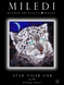 Star Tiger Cub, Complete kit for DIY embroidery with beads, Kit