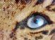 Goldener Leopard, Schema zum Selbststicken (DIY) mit Perlen (selbstst&auml;ndige Materialauswahl) СЛ-3166 фото 5