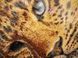 Goldener Leopard, Schema zum Selbststicken (DIY) mit Perlen (selbstst&auml;ndige Materialauswahl) СЛ-3166 фото 6