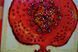 Fruit of Gods, Sacred Embroidery Kit with Crystal and Glass Components, Kit