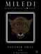 Panther smile, Complete kit for self-embroidery in the bead mosaic technique, Kit