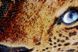 Golden Leopard, Complete kit for DIY embroidery with beads, Kit