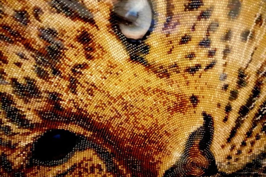 Golden Leopard, Complete kit for DIY embroidery with beads, Kit