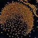 Attraction of Opposites: Sacred Glass Components Embroidery Artifact Kit, Kit