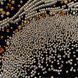 Attraction of Opposites: Sacred Glass Components Embroidery Artifact Kit, Kit