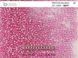 Pink-raspberry transparent with silver center, Czech beads