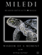 Wisdom of a Moment, Complete kit for DIY embroidery with beads and decorative elements, Kit