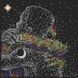 Universum der Liebe, Perlenstich komplettset f&uuml;r DIY НЮ-084 фото 2